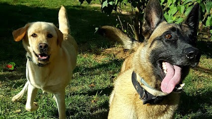 Pension Sirius, Pension pour Chiens à Moissac