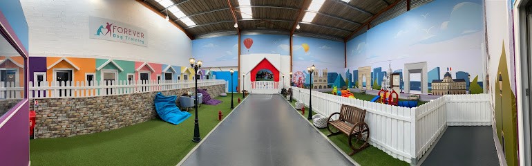 Forever Dog Training, Pension pour Chiens à Argenteuil