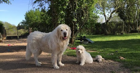 Martin Francoise, Eleveur de Chiens à Dhuizon