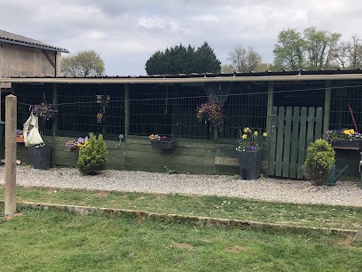 Dogs Life, Pension pour Chiens à Chassiecq