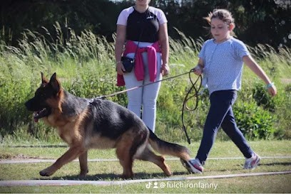 Elevage Du Montgison, Eleveur de Chiens à Neaufles-Saint-Martin