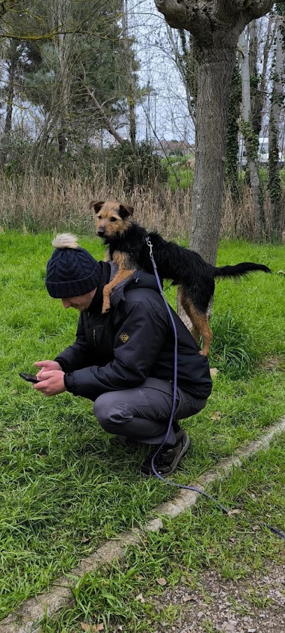 Dog'in Dresseur De Chiens à Montpellier
