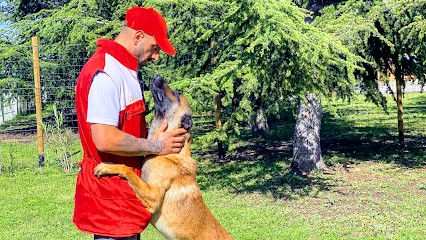 L'école des 4 pattes, Dresseur de Chiens à Vendargues