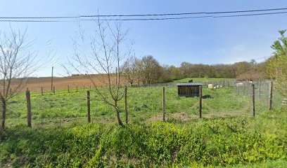 Élevage de Solemel, Eleveur de Chiens à Castelnau Montratier-Sainte Alauzie