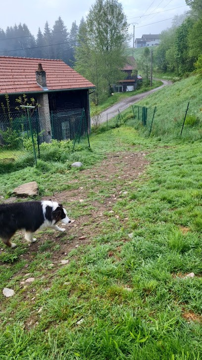 L'Esprit D'Orus, Pension pour Chiens à Fresse-sur-Moselle