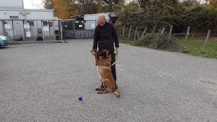 Cynotech, Dresseur de Chiens à Sciez