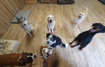 La Canicolo De Manon, Pension Pour Chien à Bœurs-en-Othe