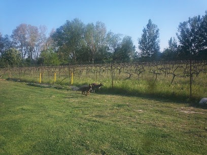 Rouvier Frederic, Pension pour Chiens à Courthézon