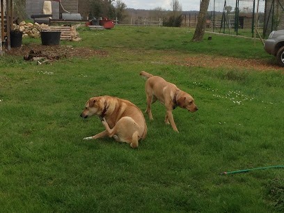 La Wouaf Academie, Pension pour Chiens à Soulignonne