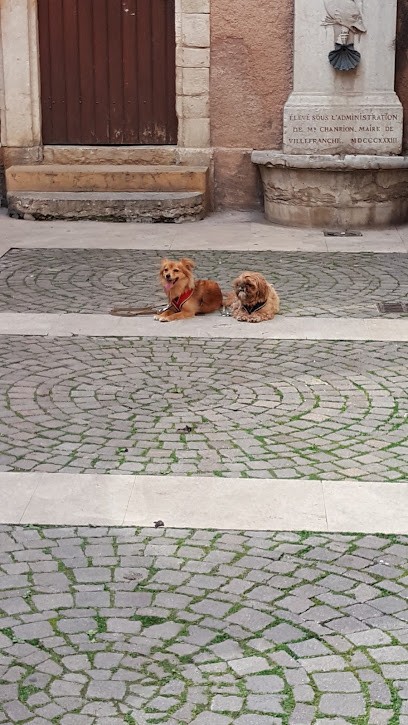 Chenil De La Ferme De Biesse, Pension pour Chiens à Frans