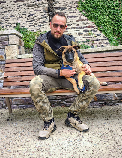 Sym Dog 56 – Éducateur Canin Comportementaliste – Brignac / Morbihan Dresseur De Chiens à Brignac