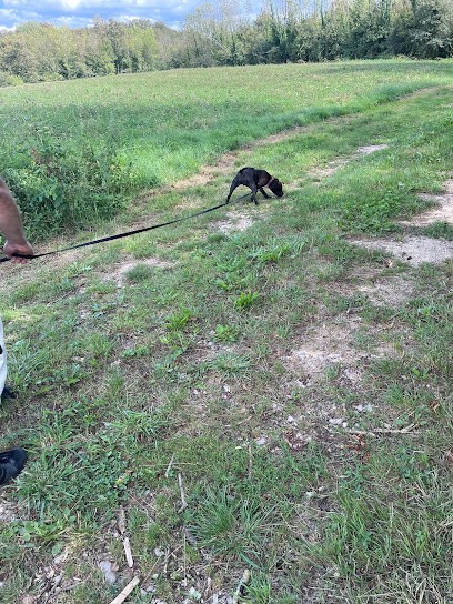 le pré facon, Eleveur de Chiens à Montpont-en-Bresse