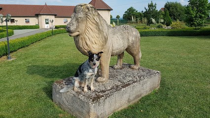 Vacation Club For Pets, Pension pour Chiens à Bernwiller
