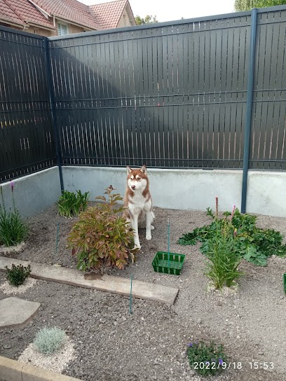 Élevage Wolves Of The Moon, Eleveur de Chiens au Cateau-Cambrésis