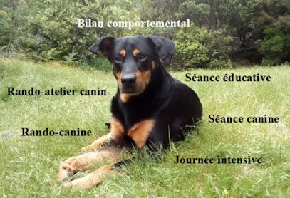 Can&Éduc, Dresseur de Chiens à Maraussan