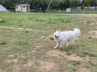 Can'IDEAL, Dresseur de Chiens à Saint-Féliu-d'Avall