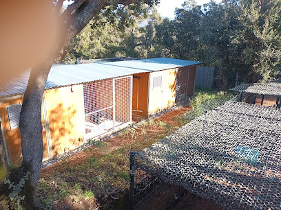 Calli-Canin Pension Pour Chien à Porto-Vecchio