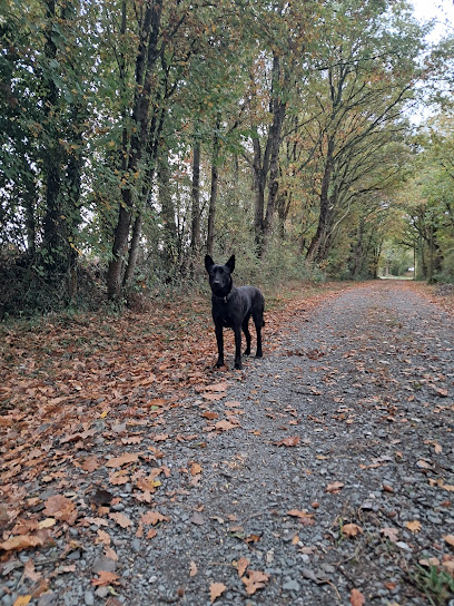 Pension Canine La Croix Malard, Pension Pour Chien à Torcé-Viviers-en-Charnie