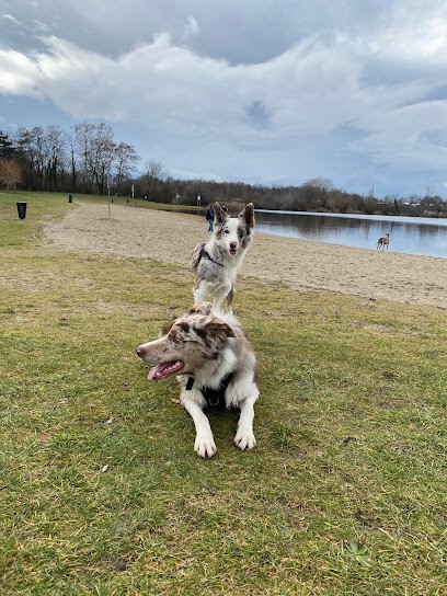 Cadre Canin - Éducateur Comportementaliste Canin, Dresseur de Chiens à Strasbourg