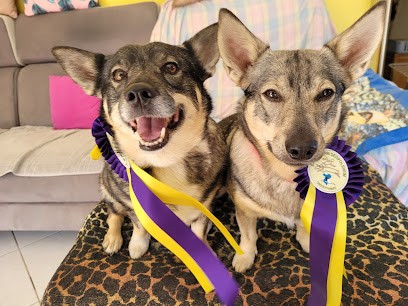 Canin Sérénité, Pension pour Chiens à Herrlisheim