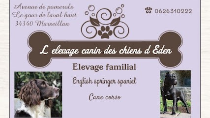 Elevage canin des chiens d Eden, Eleveur de Chiens à Marseillan