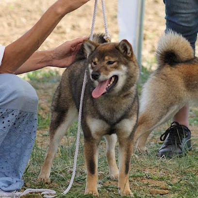 L'Empire des Samouraïs, Eleveur de Chiens à Labastide-Paumès