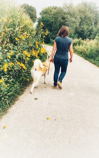 DogSpirit’Educ, Dresseur de Chiens à Weyersheim