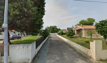 Sharp et boule de Nat, Eleveur de Chiens à Bédarieux