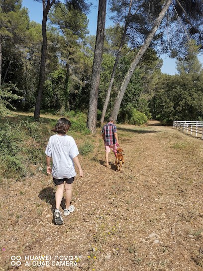 Chenil D'Argeville, Pension pour Chiens à Mougins