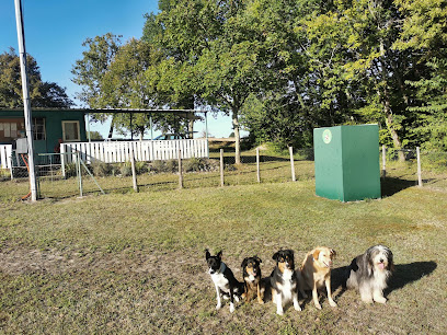 Club D'éducation Canine De Riberac Dresseur De Chiens à Ribérac