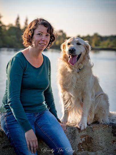 SIMBA - Education Canine à Domicile, Dresseur de Chiens à Montrevault-sur-Èvre