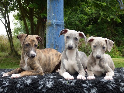 Élevage The Eagle Of Lucky, Eleveur de Chiens à Pleine-Fougères