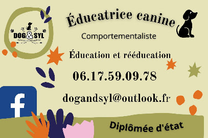 Dog & Syl - Educatrice Comportementaliste Canin, Dresseur De Chiens à Beaucaire