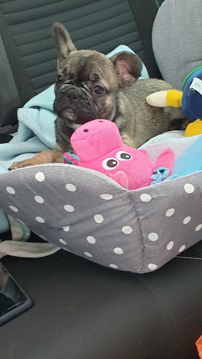 EARL Des Terres De La Gâtine, Eleveur de Chiens au Breuil-Bernard