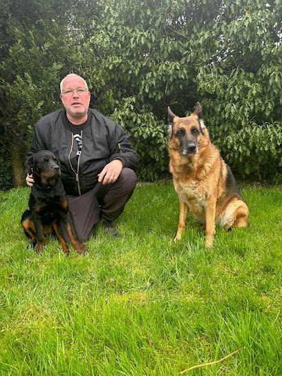 Canin Tout Plein, Dresseur de Chiens à Saint-Hilliers
