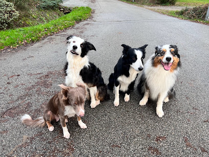 Compagnons Canins, Pension Pour Chien à Lauzach