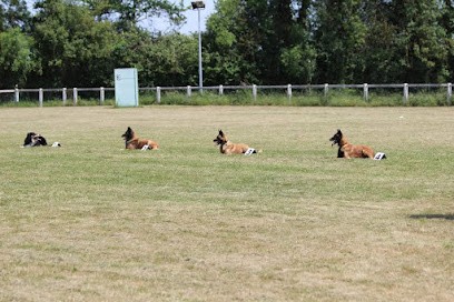Club Saumurois d'Education Canine ( CSEC ), Dresseur de Chiens à Saumur