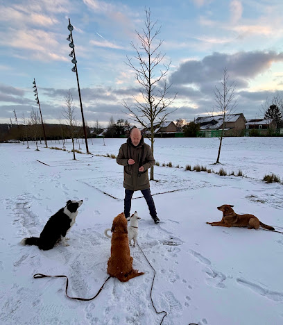 4 Pattes Et Une Queue: Educateur Canin - Pension Canine Dresseur De Chiens à Angres