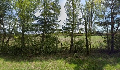 Earl de la Tenue Egault, Eleveur de Chiens à Nesploy