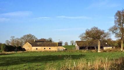 DSDO Elevage Cane Corso, Eleveur de Chiens à Saint-Donan
