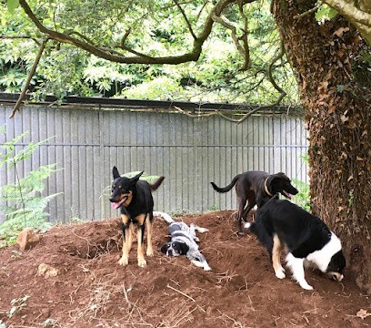 Pension Canine de Lesmel, Pension pour Chiens à Plogonnec