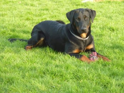 CANID'éduc, Dresseur de Chiens à Libercourt