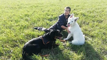 LES ANIMAUX DU MESNIL : éducateur canin comportementaliste , pension féline, Dresseur de Chiens à Mesnil-Bruntel