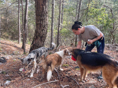 Cani Walk, Pension Pour Chien à Digne-les-Bains