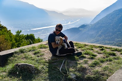 Une Patte Après l'Autre, Dresseur de Chiens à Noyarey