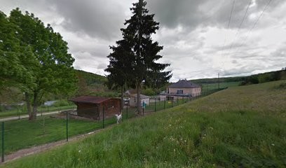 BONNE PATTE, Pension pour Chiens à Moloy