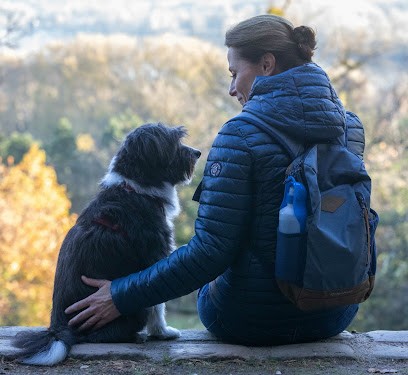 Place Aux Chiens, Pension pour Chiens à Cergy