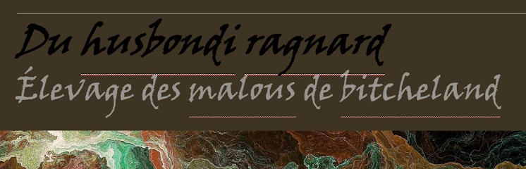 elevage de malinois du husbondi ragnard, Eleveur de Chiens à Rolbing