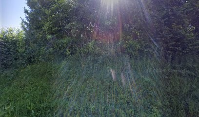 Elevage des Loups de Sparte, Eleveur de Chiens à Cannectancourt