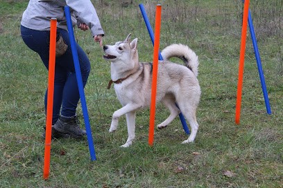 Educ M'Ouaf, Dresseur de Chiens à Mende